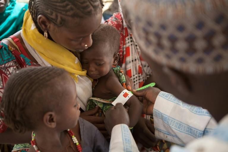 Insécurité au Sahel : doublement du nombre de personnes en besoin d'aide alimentaire immédiate