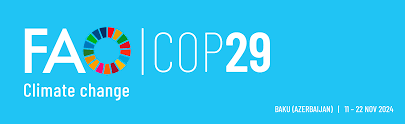 COP29 : une « COP de la trêve » en novembre 2024 