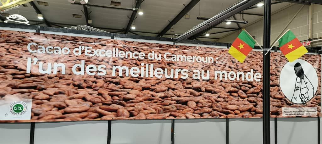 Cameroun : promotion du cacao